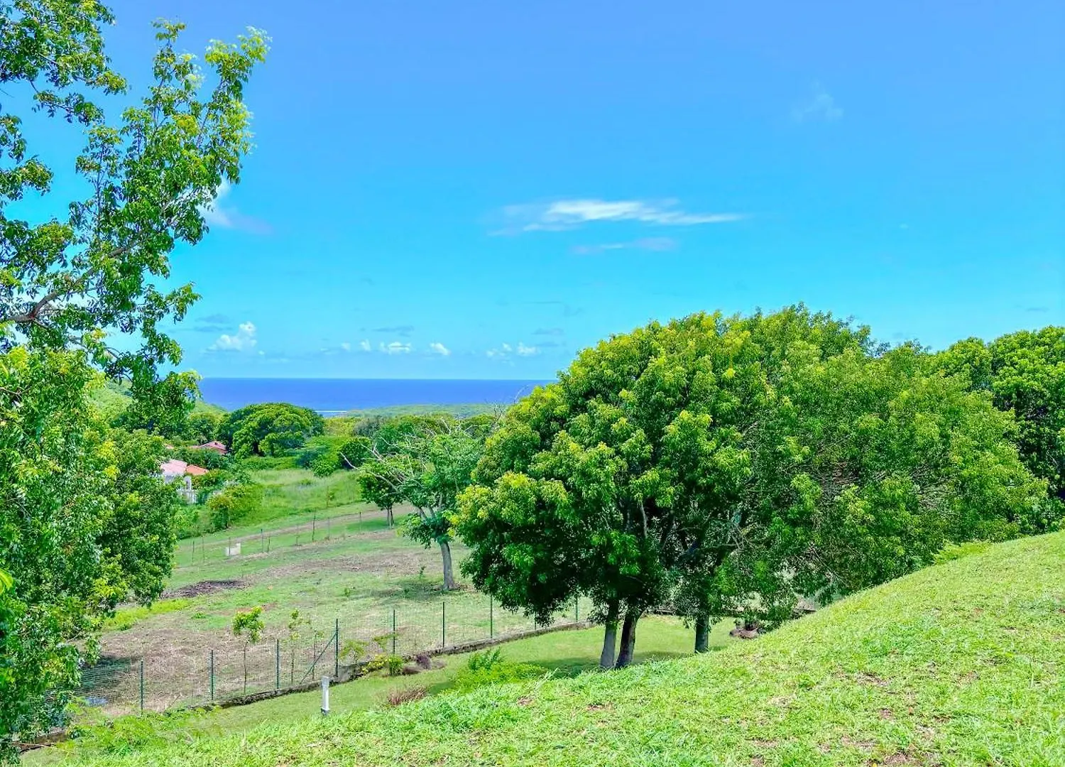 Villa Les Acacias Belle Languette